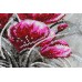 Main Bead Embroidery Kit Red emerald (Flowers), AB-854 by Abris Art - buy online! ✿ Fast delivery ✿ Factory price ✿ Wholesale and retail ✿ Purchase Great kits for embroidery with beads