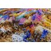 Main Bead Embroidery Kit I guess (Deco Scenes), AB-873 от Абрис Арт - купить с доставкой ✿ Лучшие цены от производителя ✿ Оптом и в розницу ✿ Пробрести