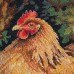 Cross-stitch kits Hen in the Yard (Animals and birds), AH-326  від Абрис Арт - купити з доставкою ✿ Найкраща ціна від виробника ✿ Оптом та в роздріб ✿ Придбати Big kits for cross stitch embroidery