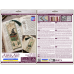 Cross-stitch kits Bookmark "Power of three" (Fantasy)