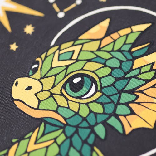 Paint by Numbers The Star Lighter (Fantasy), APN-002  від Абрис Арт - купити з доставкою ✿ Найкраща ціна від виробника ✿ Оптом та в роздріб ✿ Придбати Картини по номерам