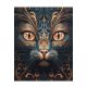 Paint by Numbers Kit on Art Canvas "The look of a witch"