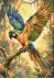 Bead Embroidery Kit on Art Canvas "Colorful Parrot"