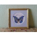 Mini Bead embroidery kit Butterfly, AM-001 by Abris Art - buy online! ✿ Fast delivery ✿ Factory price ✿ Wholesale and retail ✿ Purchase Sets-mini-for embroidery with beads on canvas