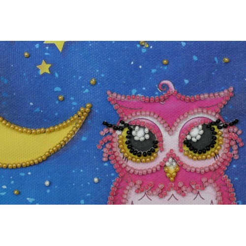 Owl and moon