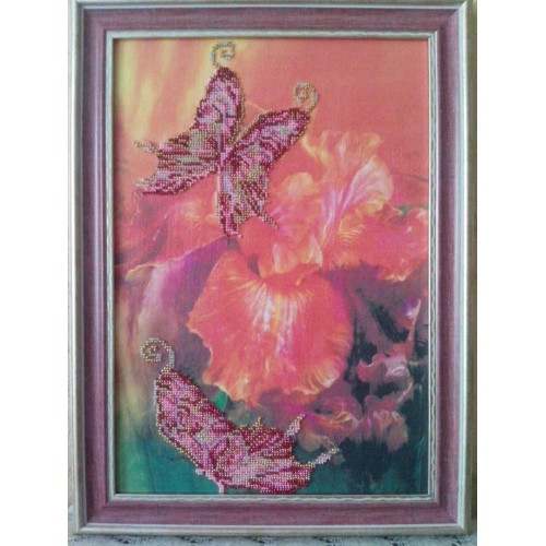 Набір для вишивання бісером на натуральному художньому холсті Батерфляй, AB-014 від Абрис Арт - купити з доставкою ✿ Найкраща ціна від виробника ✿ Оптом та в роздріб ✿ Придбати Великі набори для вишивки бісером