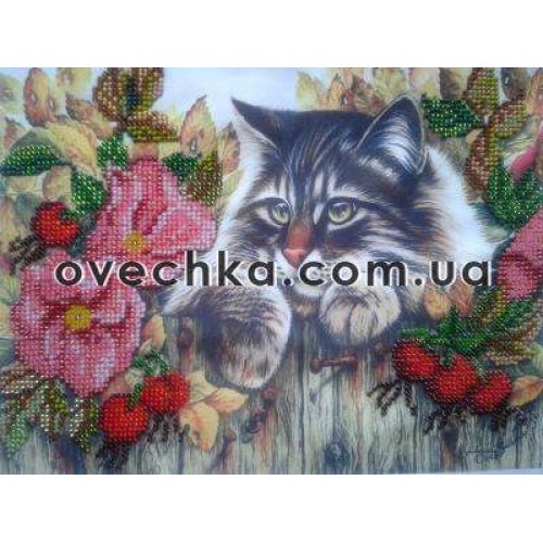 Charts on artistic canvas Fluffy Robber, AC-143 by Abris Art - buy online! ✿ Fast delivery ✿ Factory price ✿ Wholesale and retail ✿ Purchase Large schemes for embroidery with beads on canvas (300x300 mm)