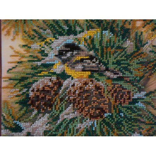 Charts on artistic canvas Frosty Morning, AC-070 by Abris Art - buy online! ✿ Fast delivery ✿ Factory price ✿ Wholesale and retail ✿ Purchase Scheme for embroidery with beads on canvas (200x200 mm)