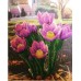 Charts on artistic canvas Spring in Provence, AC-190 by Abris Art - buy online! ✿ Fast delivery ✿ Factory price ✿ Wholesale and retail ✿ Purchase Large schemes for embroidery with beads on canvas (300x300 mm)