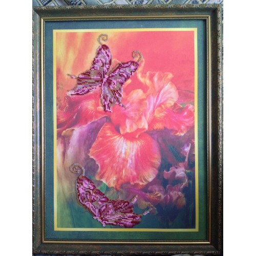 Набір для вишивання бісером на натуральному художньому холсті Батерфляй, AB-014 від Абрис Арт - купити з доставкою ✿ Найкраща ціна від виробника ✿ Оптом та в роздріб ✿ Придбати Великі набори для вишивки бісером