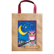 Bag Bead embroidery kit Owl and moon (Animals)