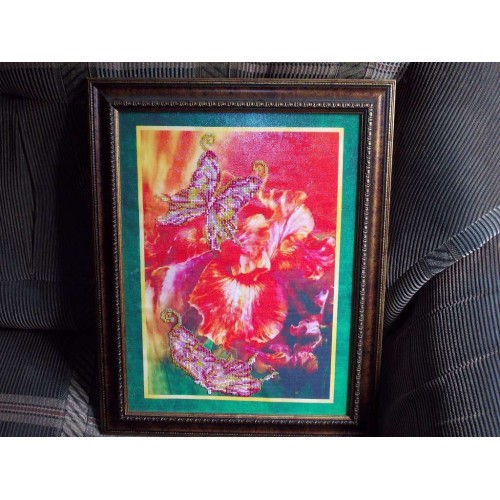 Набір для вишивання бісером на натуральному художньому холсті Батерфляй, AB-014 від Абрис Арт - купити з доставкою ✿ Найкраща ціна від виробника ✿ Оптом та в роздріб ✿ Придбати Великі набори для вишивки бісером