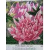 Charts on artistic canvas Pink lotus, AC-448 by Abris Art - buy online! ✿ Fast delivery ✿ Factory price ✿ Wholesale and retail ✿ Purchase Scheme for embroidery with beads on canvas (200x200 mm)