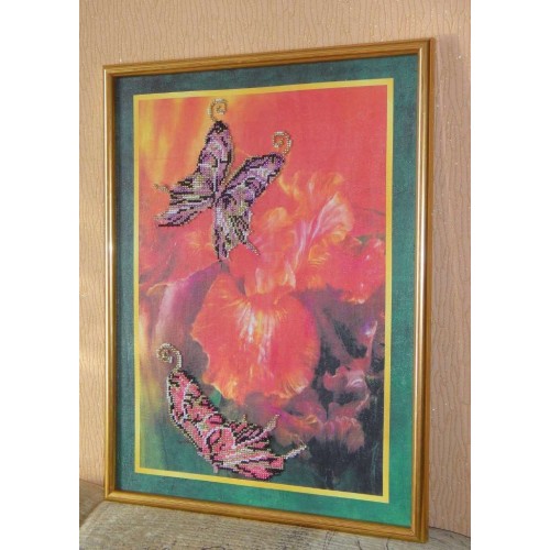 Набір для вишивання бісером на натуральному художньому холсті Батерфляй, AB-014 від Абрис Арт - купити з доставкою ✿ Найкраща ціна від виробника ✿ Оптом та в роздріб ✿ Придбати Великі набори для вишивки бісером