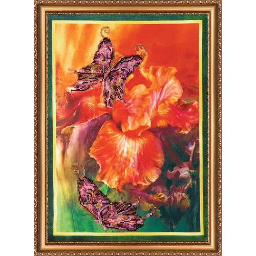 Набір для вишивання бісером на натуральному художньому холсті Батерфляй, AB-014 від Абрис Арт - купити з доставкою ✿ Найкраща ціна від виробника ✿ Оптом та в роздріб ✿ Придбати Великі набори для вишивки бісером