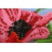 Main Bead Embroidery Kit Wild poppies – 2 (Flowers), AB-270 by Abris Art - buy online! ✿ Fast delivery ✿ Factory price ✿ Wholesale and retail ✿ Purchase Great kits for embroidery with beads