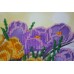 Main Bead Embroidery Kit Primrose (Flowers), AB-319 by Abris Art - buy online! ✿ Fast delivery ✿ Factory price ✿ Wholesale and retail ✿ Purchase Great kits for embroidery with beads