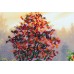 Main Bead Embroidery Kit Autumn scenes-3 (Landscapes), AB-414 by Abris Art - buy online! ✿ Fast delivery ✿ Factory price ✿ Wholesale and retail ✿ Purchase Great kits for embroidery with beads