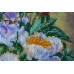 Fancy peonies, AB-427 by Abris Art - buy online! ✿ Fast delivery ✿ Factory price ✿ Wholesale and retail ✿ Purchase Great kits for embroidery with beads