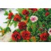 Main Bead Embroidery Kit Summer garden (Landscapes), AB-482 by Abris Art - buy online! ✿ Fast delivery ✿ Factory price ✿ Wholesale and retail ✿ Purchase Great kits for embroidery with beads