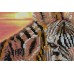 Main Bead Embroidery Kit Zebras (Animals), AB-539 by Abris Art - buy online! ✿ Fast delivery ✿ Factory price ✿ Wholesale and retail ✿ Purchase Great kits for embroidery with beads