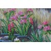 Main Bead Embroidery Kit Chamomile etude-2 (Flowers), AB-541 by Abris Art - buy online! ✿ Fast delivery ✿ Factory price ✿ Wholesale and retail ✿ Purchase Great kits for embroidery with beads