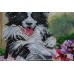 Main Bead Embroidery Kit Fascinating walk (Animals), AB-556 by Abris Art - buy online! ✿ Fast delivery ✿ Factory price ✿ Wholesale and retail ✿ Purchase Great kits for embroidery with beads