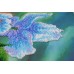 Main Bead Embroidery Kit Blue Poppies (Flowers), AB-566 by Abris Art - buy online! ✿ Fast delivery ✿ Factory price ✿ Wholesale and retail ✿ Purchase Great kits for embroidery with beads