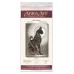 Main Bead Embroidery Kit Bast in the night (Deco Scenes), AB-695 by Abris Art - buy online! ✿ Fast delivery ✿ Factory price ✿ Wholesale and retail ✿ Purchase Great kits for embroidery with beads
