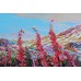 Main Bead Embroidery Kit During the blooming of Ivan Chai (Landscapes), AB-732 by Abris Art - buy online! ✿ Fast delivery ✿ Factory price ✿ Wholesale and retail ✿ Purchase Great kits for embroidery with beads