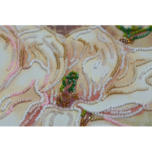 Main Bead Embroidery Kit Мagnolia (Flowers), AB-784 by Abris Art - buy online! ✿ Fast delivery ✿ Factory price ✿ Wholesale and retail ✿ Purchase Great kits for embroidery with beads