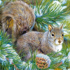Charts on artistic canvas Squirrel