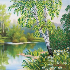 Charts on artistic canvas Birches