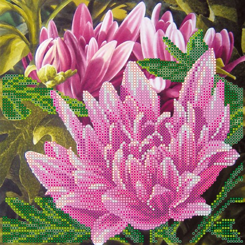 Charts on artistic canvas Pink lotus, AC-448 by Abris Art - buy online! ✿ Fast delivery ✿ Factory price ✿ Wholesale and retail ✿ Purchase Scheme for embroidery with beads on canvas (200x200 mm)