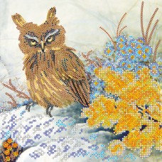 Charts on artistic canvas Owl