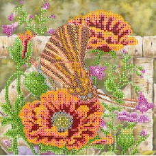 Charts on artistic canvas Batterfly and poppies