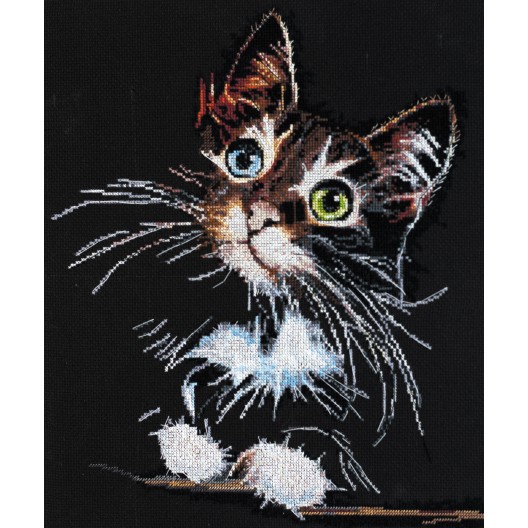 Cross-stitch kits Fluffy kitten, AH-062 by Abris Art - buy online! ✿ Fast delivery ✿ Factory price ✿ Wholesale and retail ✿ Purchase Big kits for cross stitch embroidery