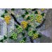 Mini Bead embroidery kit Evening shades, AM-117 by Abris Art - buy online! ✿ Fast delivery ✿ Factory price ✿ Wholesale and retail ✿ Purchase Sets-mini-for embroidery with beads on canvas