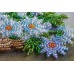 Mini Bead embroidery kit Summer bouquet, AM-170 by Abris Art - buy online! ✿ Fast delivery ✿ Factory price ✿ Wholesale and retail ✿ Purchase Sets-mini-for embroidery with beads on canvas