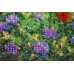 Mini Bead embroidery kit Wild field, AM-172 by Abris Art - buy online! ✿ Fast delivery ✿ Factory price ✿ Wholesale and retail ✿ Purchase Sets-mini-for embroidery with beads on canvas