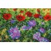 Mini Bead embroidery kit Wild field, AM-172 by Abris Art - buy online! ✿ Fast delivery ✿ Factory price ✿ Wholesale and retail ✿ Purchase Sets-mini-for embroidery with beads on canvas