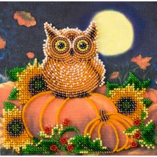 Mini Bead embroidery kit Night guest