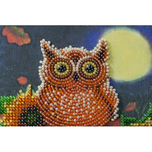 Mini Bead embroidery kit Night guest, AM-190 by Abris Art - buy online! ✿ Fast delivery ✿ Factory price ✿ Wholesale and retail ✿ Purchase Sets-mini-for embroidery with beads on canvas