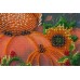 Mini Bead embroidery kit Night guest, AM-190 by Abris Art - buy online! ✿ Fast delivery ✿ Factory price ✿ Wholesale and retail ✿ Purchase Sets-mini-for embroidery with beads on canvas