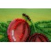 Gooseberry, AMA-023 by Abris Art - buy online! ✿ Fast delivery ✿ Factory price ✿ Wholesale and retail ✿ Purchase Kits for embroidery magnets with beads on canvas