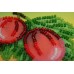 Gooseberry, AMA-023 by Abris Art - buy online! ✿ Fast delivery ✿ Factory price ✿ Wholesale and retail ✿ Purchase Kits for embroidery magnets with beads on canvas