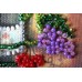 Magnets Bead embroidery kit Caberne, AMA-187 by Abris Art - buy online! ✿ Fast delivery ✿ Factory price ✿ Wholesale and retail ✿ Purchase Kits for embroidery magnets with beads on canvas