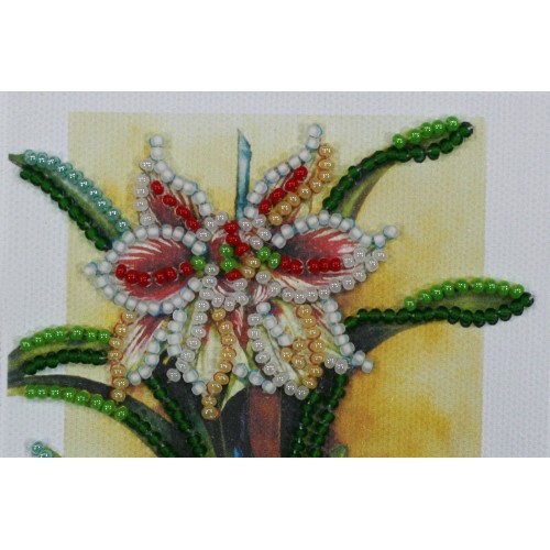 Flowers – 1, AO-088 by Abris Art - buy online! ✿ Fast delivery ✿ Factory price ✿ Wholesale and retail ✿ Purchase Postcards for bead embroidery