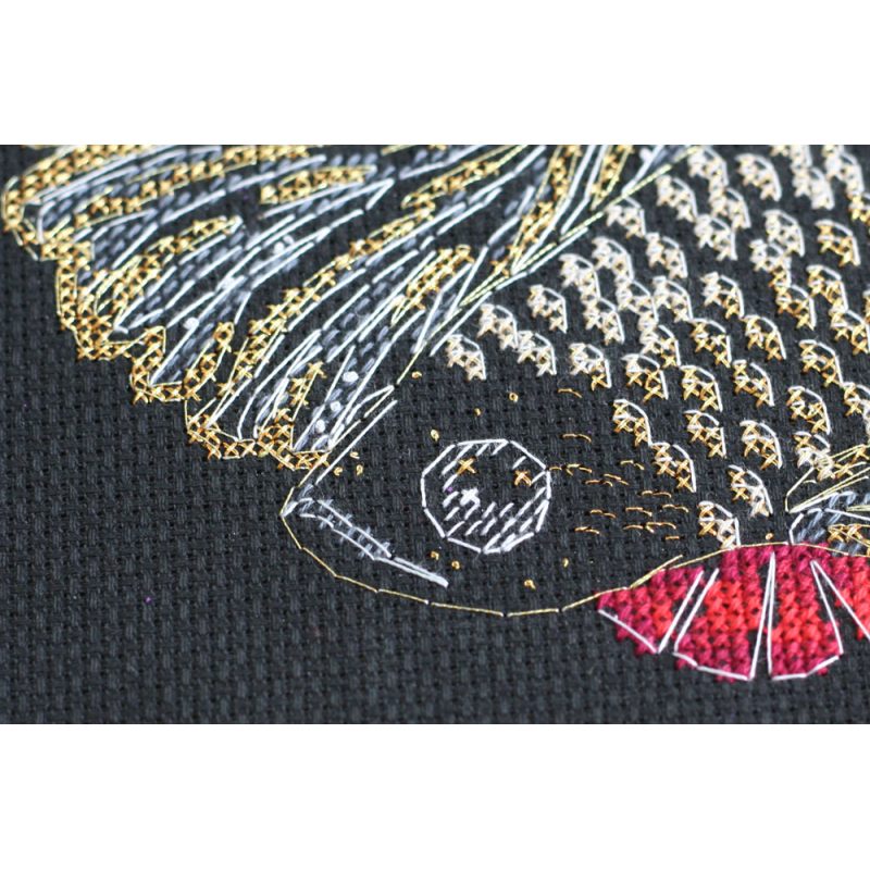 Cross Stitch Kit "Black oranda"