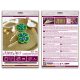 Christmas Ornament Bead Embroidery Kit "Clover for good luck"